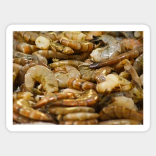 Shrimp Sticker